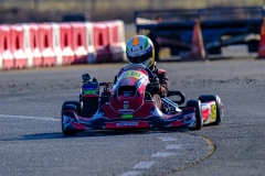 ©LGP-OPENKART2025-14022025-LGP09738