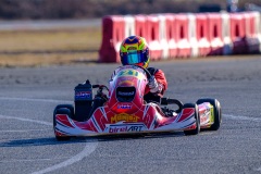 ©LGP-OPENKART2025-14022025-LGP09740