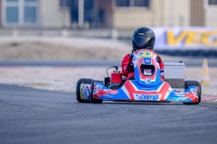 ©LGP-OPENKART2025-15022025-LGP00583