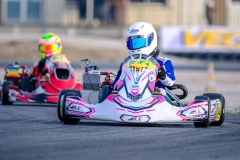 ©LGP-OPENKART2025-15022025-LGP00759