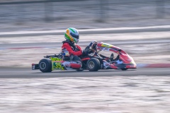 ©LGP-OPENKART2025-15022025-LGP00880