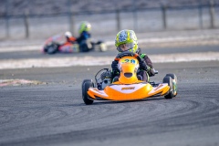 ©LGP-OPENKART2025-15022025-LGP00907