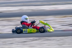 ©LGP-OPENKART2025-15022025-LGP00976