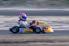 ©LGP-OPENKART2025-15022025-LGP01011