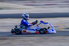 ©LGP-OPENKART2025-15022025-LGP01045