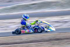 ©LGP-OPENKART2025-15022025-LGP01085