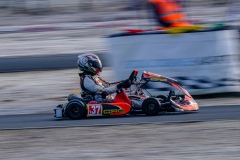 ©LGP-OPENKART2025-15022025-LGP01089