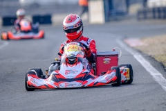 ©LGP-OPENKART2025-15022025-LGP01147