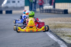 ©LGP-OPENKART2025-15022025-LGP01206
