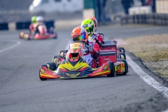 ©LGP-OPENKART2025-15022025-LGP01243