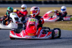 ©LGP-OPENKART2025-15022025-LGP01309