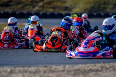 ©LGP-OPENKART2025-15022025-LGP01404