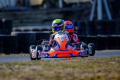 ©LGP-OPENKART2025-15022025-LGP01442