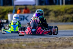 ©LGP-OPENKART2025-15022025-LGP01459