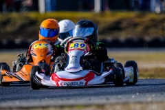 ©LGP-OPENKART2025-15022025-LGP01573