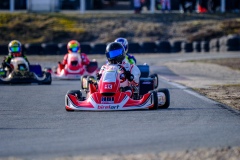 ©LGP-OPENKART2025-15022025-LGP01629