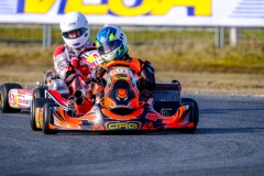©LGP-OPENKART2025-15022025-LGP01666