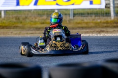 ©LGP-OPENKART2025-15022025-LGP01672