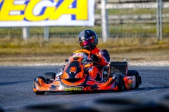 ©LGP-OPENKART2025-15022025-LGP01674