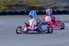©LGP-OPENKART2025-15022025-LGP01689