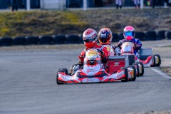 ©LGP-OPENKART2025-15022025-LGP01693