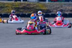 ©LGP-OPENKART2025-15022025-LGP01698