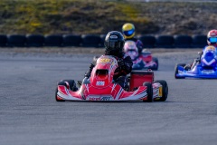 ©LGP-OPENKART2025-15022025-LGP01703