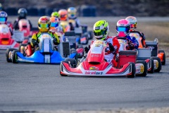 ©LGP-OPENKART2025-15022025-LGP01709