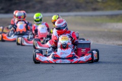 ©LGP-OPENKART2025-15022025-LGP01719