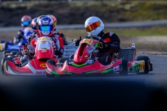 ©LGP-OPENKART2025-15022025-LGP01731