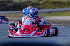 ©LGP-OPENKART2025-15022025-LGP01733