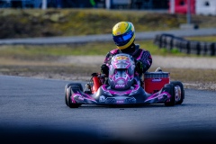 ©LGP-OPENKART2025-15022025-LGP01738