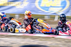 ©LGP-OPENKART2025-15022025-LGP01804