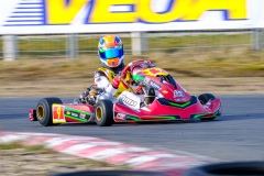 ©LGP-OPENKART2025-15022025-LGP01820