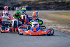 ©LGP-OPENKART2025-15022025-LGP01856