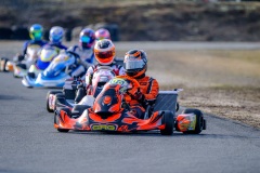 ©LGP-OPENKART2025-15022025-LGP01861