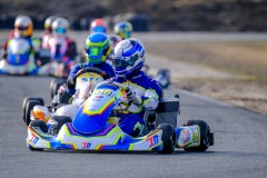 ©LGP-OPENKART2025-15022025-LGP01865