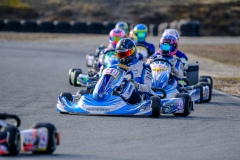 ©LGP-OPENKART2025-15022025-LGP01881