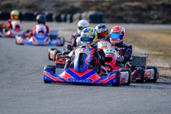 ©LGP-OPENKART2025-15022025-LGP01882