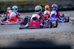 ©LGP-OPENKART2025-15022025-LGP01988