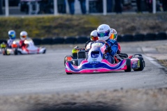 ©LGP-OPENKART2025-15022025-LGP01993