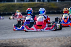 ©LGP-OPENKART2025-15022025-LGP01999