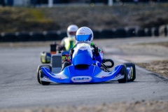 ©LGP-OPENKART2025-15022025-LGP02006