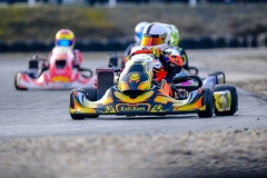 ©LGP-OPENKART2025-15022025-LGP02020