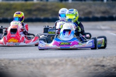 ©LGP-OPENKART2025-15022025-LGP02021