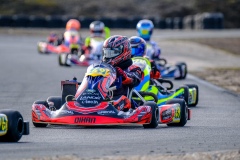 ©LGP-OPENKART2025-15022025-LGP02043