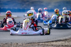 ©LGP-OPENKART2025-15022025-LGP02047