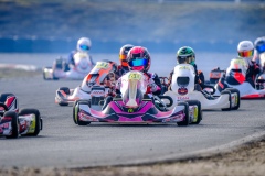 ©LGP-OPENKART2025-15022025-LGP02048