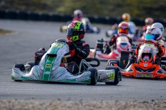 ©LGP-OPENKART2025-15022025-LGP02054