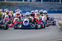 ©LGP-OPENKART2025-15022025-LGP02063